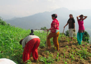 Sustainable Agricultural Initiative volunteer with Nepalese women