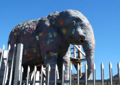 Cape Town Hout Bay elephant tribute to Nelson Mandela