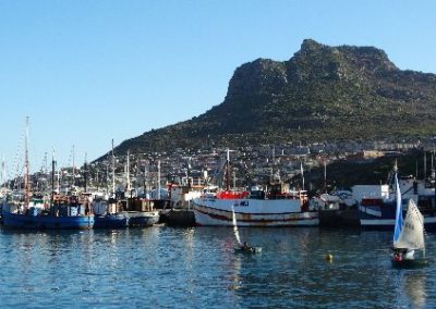 Cape Town Hout Bay harbour and mountain view