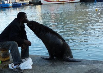 Cape Town Hout Bay man kissing a seal