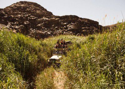 car through the reeds Namibia