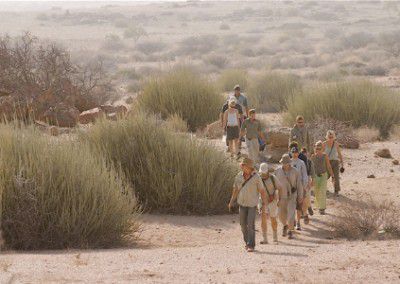 vols tracking on foot Namibia