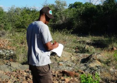 Bird monitoring data recording Conservation Internship