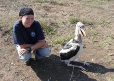 Bird tracking Conservation and Ecology Internship in Swaziland