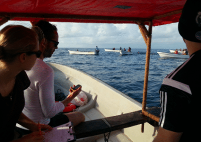 Boats Dolphin and Marine Conservation in Zanzibar