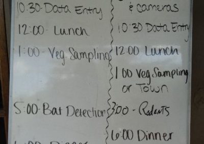 Daily schedules at Conservation Camp