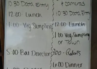 Daily schedules at Conservation Camp