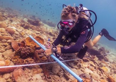 Diver at work Marine Conservation Thailand