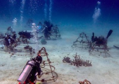 Divers Underwater Marine Conservation Thailand