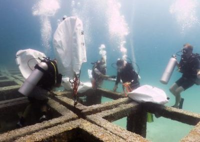 Divers at work Marine Conservation Thailand