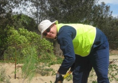 Dune restoration environmental conservation in Australia
