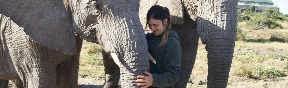 Elephant sanctuary Volunteer with the Big 5 Port Elizabeth