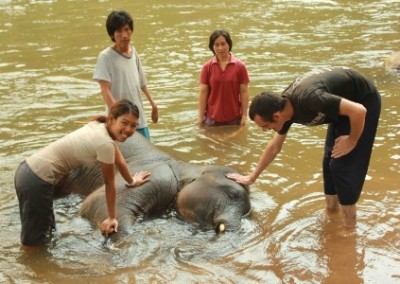 Elephants and people in the water Early Years Teaching Assistant in Rural Thailand