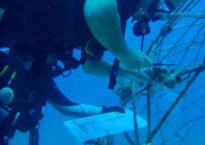 Fixing the clam nursery Family Volunteering Marine Conservation in Thailand