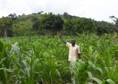 Ghanaian man stood in field Agriculture for Education in Ghana