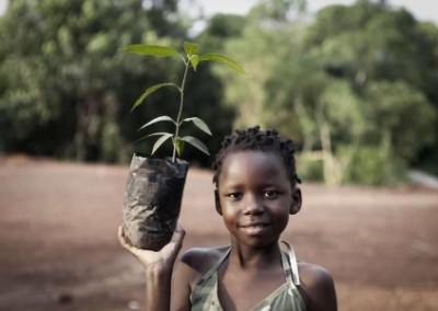 Girl with sapling Tree Planting and Environmental Education Summer Initiative in Zambia