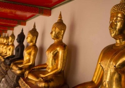 Golden buddhas Summer Study and Service in Thailand