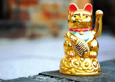 Golden cat Energy and Sustainability internship in China