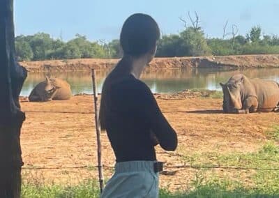 A woman gazes at a rhino.