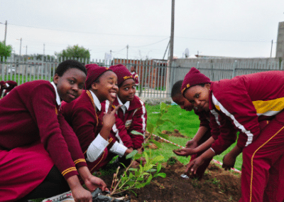 Kids planting Tree Planting and Environmental Education Summer Initiative in Zambia