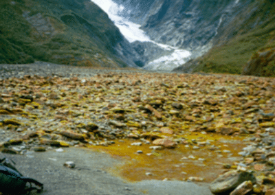 Landscape Environmental Conservation in South Island in New Zealand