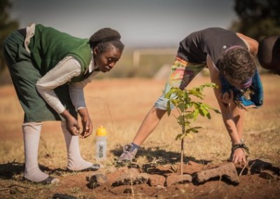Local and volunteer planting tree permaculture and horticulture internship South Africa