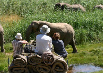 Monitoring elephants Namibia