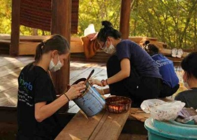 Painting Community and Conservation Volunteering in Chiang Mai in Thailand
