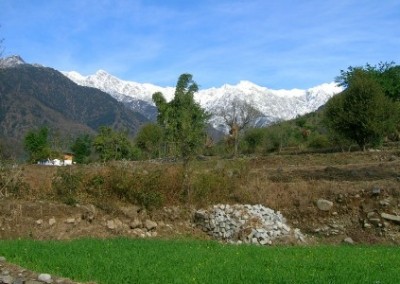 Palampur mountains Family Volunteering Renovation and Community Work in India