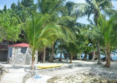 Palm trees film camp Belize