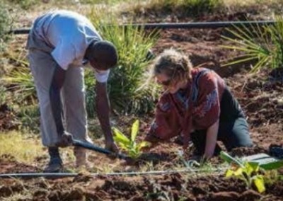 Planting trees Tree Planting and Environmental Education Summer Initiative in Zambia