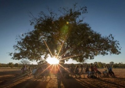 Sat under tree Tree Planting and Environmental Education Summer Initiative in Zambia