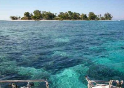 Sea and coastline marine conservation internship Belize