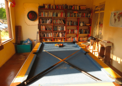 Snooker table wildlife and community internship South Africa