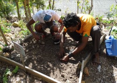 Staff digging Permaculture and Horticulture Internship in South Africa