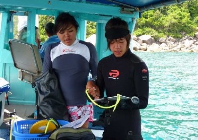 Studying checklist Island Marine Conservation with Diving Certification in Thailand