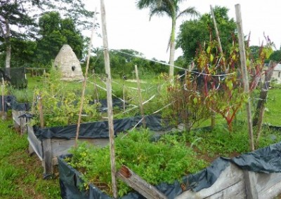 Sustainable gardens building for orphans Belize