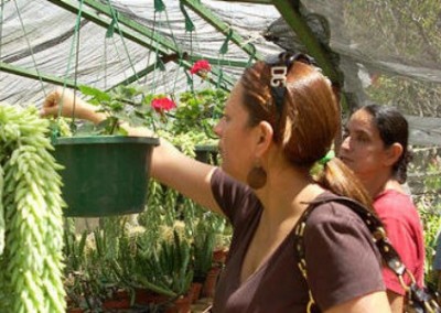 Tending to plants community empowerment Costa Rica