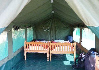 Tented accomodation Masai Mara Lion Wildlife Research and Conservation in Kenya