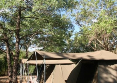 Tents Conservation and Ecology Internship in Swaziland