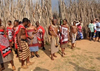 Tribe Scuba Diving and Marine Conservation plus Safari Tour in Mozambique