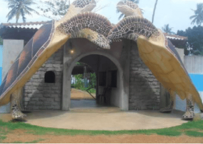 Turtle statues Turtle Conservation in Sri Lanka