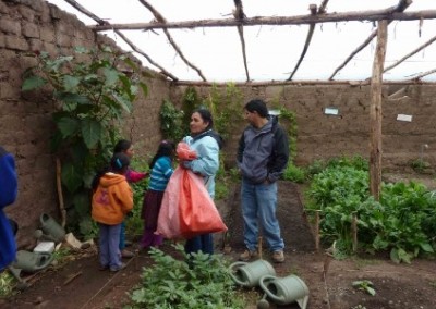 Vegetable garden global health and nutrition Peru