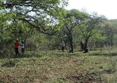 Vegetation Monitoring team at work Conservation Internship