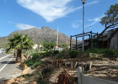 View of urban garden Graphic Design internship in South Africa