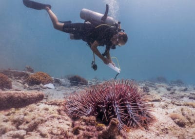 Vol diving Thailand