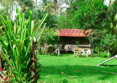 Volunteer cabin rainforest conservation Costa Rica