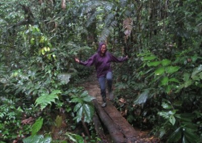 Volunteer in jungle conservation in amazon and on coast Ecuador