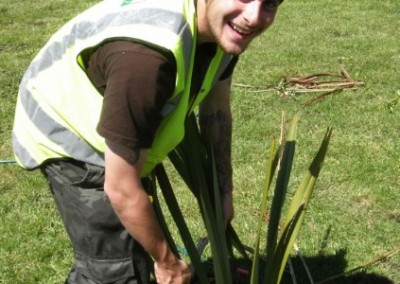Volunteer planting Environmental Conservation in South Island in New Zealand