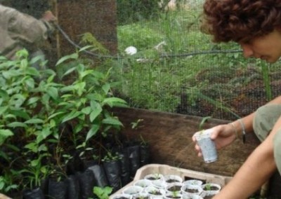 Volunteer planting agro forestry Ecuador